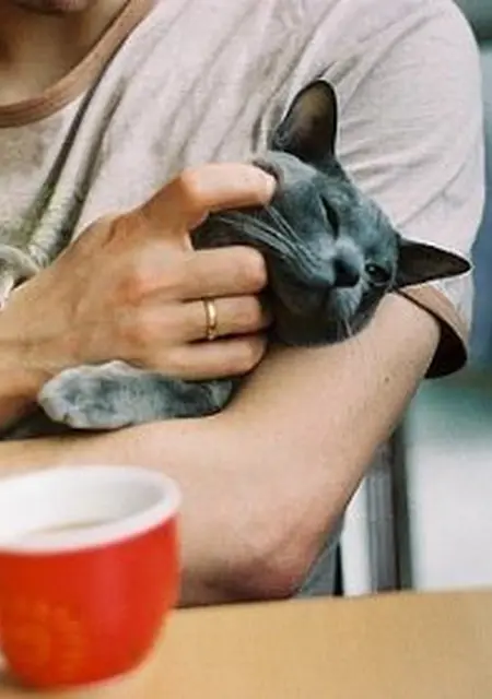 Я Валера, 49, знакомлюсь без обязательств в Кропоткине