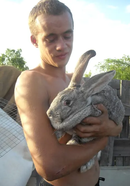 Я Леха, 41, из Южноуральска, ищу знакомства на одну ночь