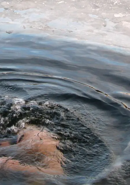 Fineman из Таллина, мне 54, познакомлюсь для вирта