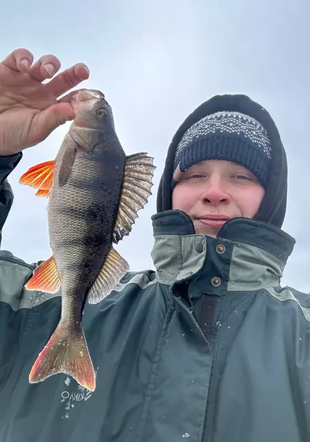 Я Иван, 21, из Зеленограда, ищу знакомство для постоянных отношений