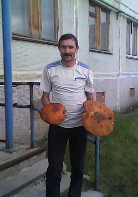 Я Vova, 52, из Мурманска, ищу знакомства без обязательств