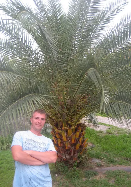 Я Андрей, 43, из Серпухова, ищу знакомства без обязательств