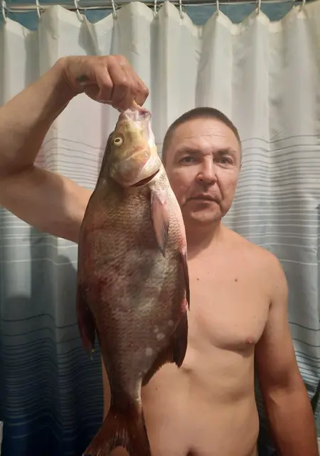 Я Саша, 47, знакомлюсь для приятного времяпровождения в Чебоксарах