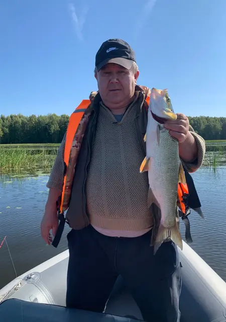 Я Алексей, 46, из Йошкар-Олы, ищу знакомства без обязательств