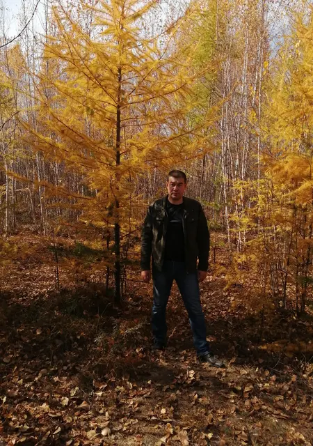 Я Владимир, 43, знакомлюсь без обязательств в Липецке