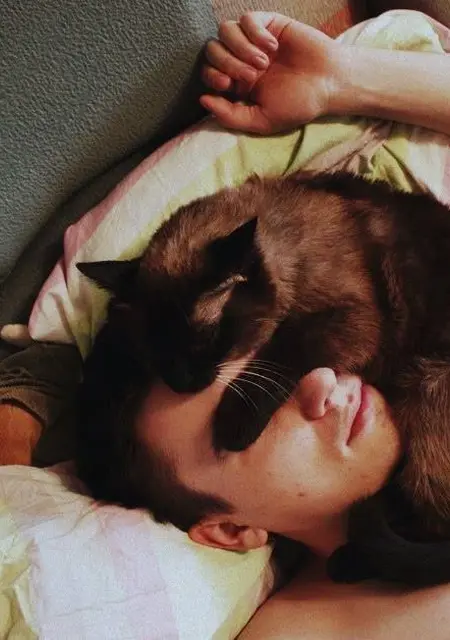 Евгений из Череповца, ищу на сайте знакомства на одну ночь