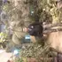 Ильнур из Салехарда, ищу на сайте знакомства на одну ночь