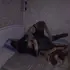 Mihon из Подольска, мне 38, познакомлюсь без обязательств