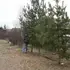 Валерий из Дна, мне 45, познакомлюсь без обязательств