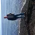 Иван из Магадана, мне 60, познакомлюсь на одну ночь