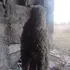 Anton из Салехарда, ищу на сайте знакомства на одну ночь