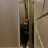 Я Алина, 28, знакомлюсь для вирта в Ставрополе