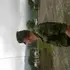 Я Сергей, 47, из Моздока, ищу знакомство для приятного времяпровождения