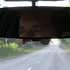 Толян из Калуги, мне 54, познакомлюсь на одну ночь