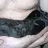 Я Артем, 45, знакомлюсь на одну ночь в Ноябрьске