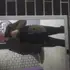 Алексей из Волгограда, ищу на сайте общение