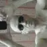 Я Анатолий, 48, знакомлюсь без обязательств в Армавире