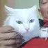 Я Андрей, 45, знакомлюсь для дружбы в Якутске