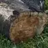 Я Mirad, 27, знакомлюсь на одну ночь в Лебедяни