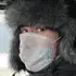 Я Иван, 29, знакомлюсь без обязательств в Самаре